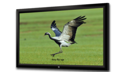 JK-F10 150- JK Velvet Frame Screen 150" 323x202cm 16:10